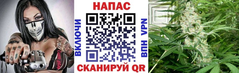 Бошки Шишки SATIVA & INDICA  Купить где  Поворино 